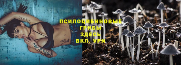 ECSTASY Аркадак