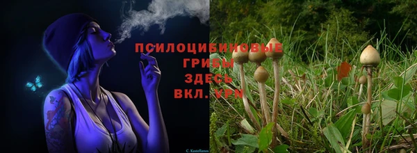 спиды Алексеевка